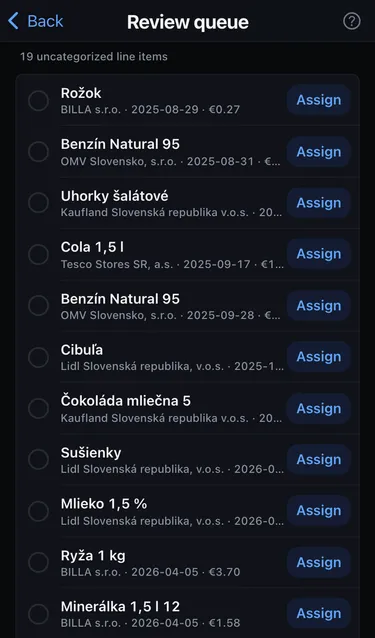 The Review queue with 19 uncategorized line items such as Rožok and Benzín Natural 95, each with an Assign button